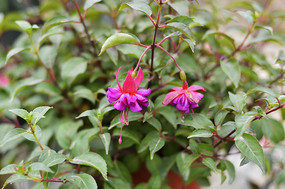 Ư���ĵ��ҽ���