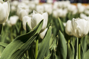 ������������д