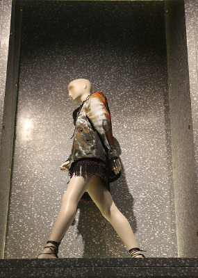 ��ɫ����