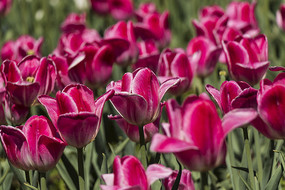 ˶��ۺ�������