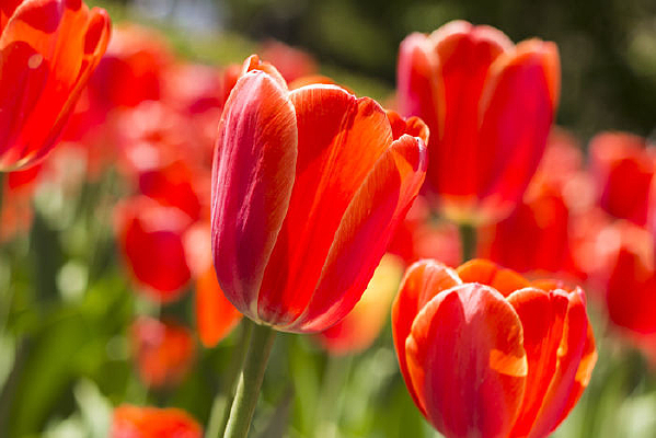 �������������