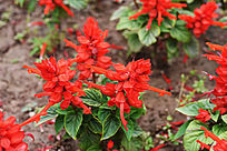 һ�ô�����