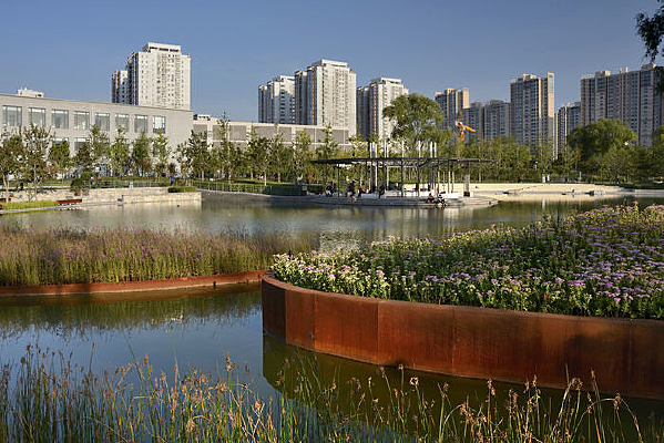 ��԰�������