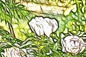 ��ɫĵ����