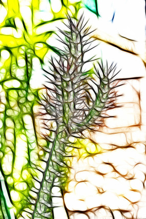 ������������