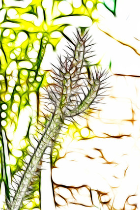 ������������������