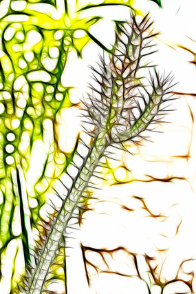 ������������װ�λ�