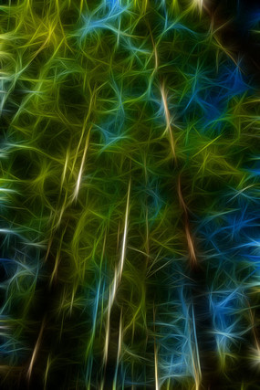 ����ˮɼ����