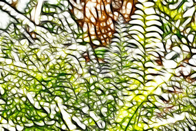 ����ާ��ֲ��������