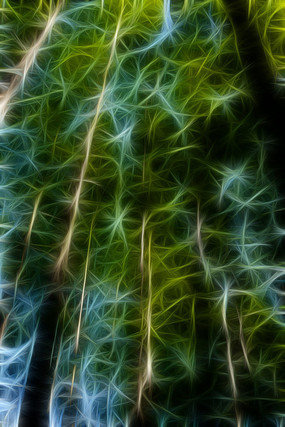 ����ˮɼ����������