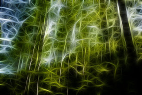 ����ˮɼ����������