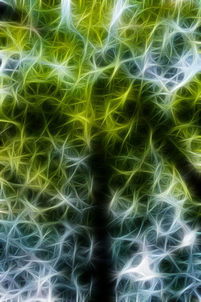 ����ˮɼ����װ�λ�