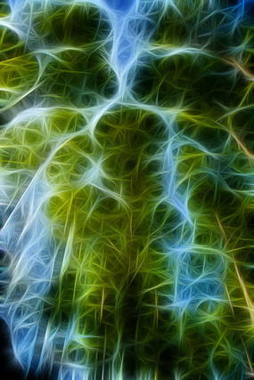 ����ˮɼ����װ�λ�