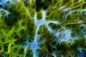 ����ˮɼ����װ�λ�