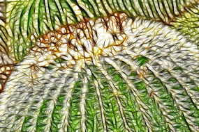 ����������