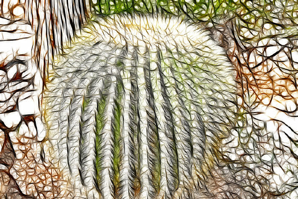 ����������