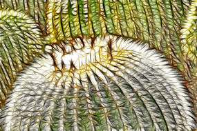 ����������