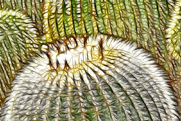 ����������