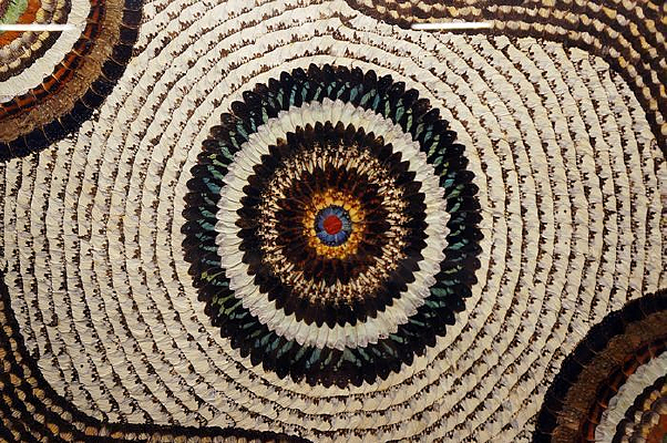 ����ͼ��