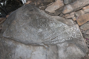 ���Ƹ���