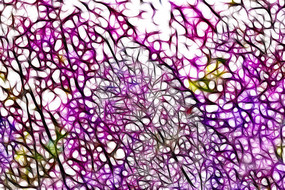 ��ɫ���㻨