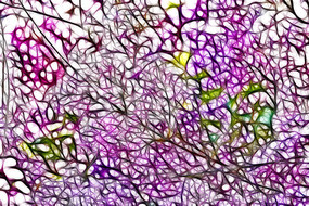 ��ɫ���㻨����