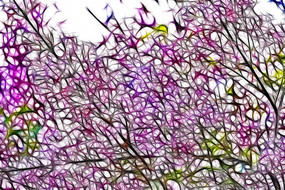 ��ɫ���㻨��������