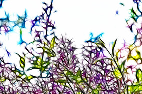 ��ɫ���㻨������