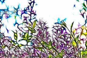 ��ɫ���㻨װ�λ�