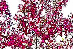 ��ɫ���Ļ�