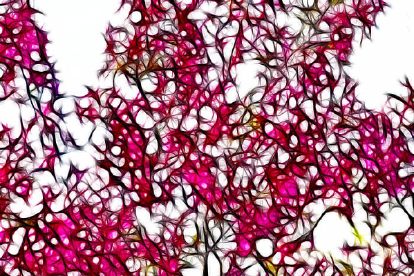 ��ɫ���Ļ�