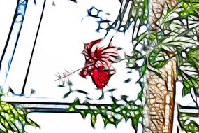 ��ɣ����