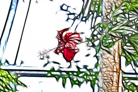 ��ɣ�����޿�