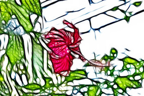 ��ɣ����������