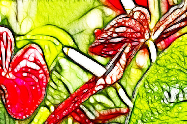 ���ƻ�װ�λ�