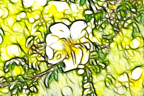 �ƴ�÷�������޿�