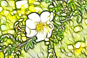 �ƴ�÷������װ�λ�