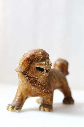 ����ʨ�ӵĵ���