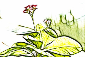 ����÷������