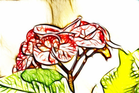 ����÷װ�λ�