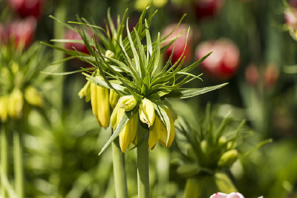 ����³�ر�ĸ��д