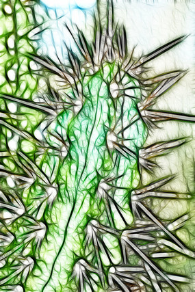 ������������