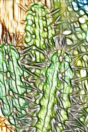 �����������Ƴ���