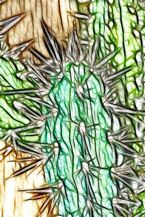 �����������Ƴ����޿�