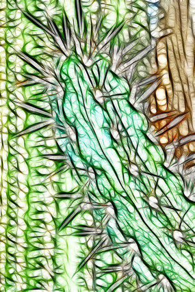 �����������Ƴ���������