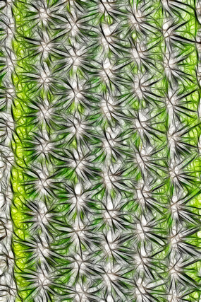 ������������������