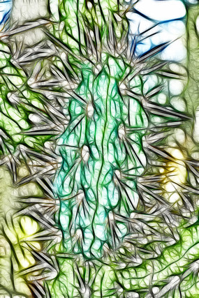 ������������װ�λ�