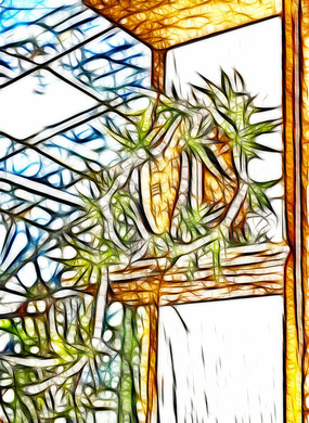 ����ֲ������