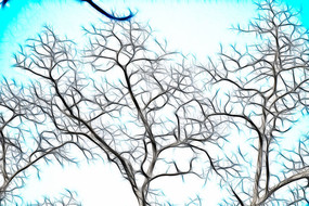 �����滭�廭