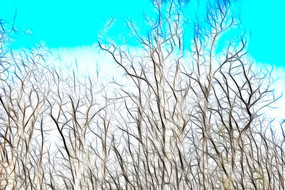 ���������޿�